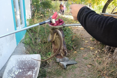 Eve giren yılan paniğe neden oldu