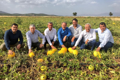 Tezgahlarda 10 liraya satılan Acıpayam kavunu tescillendi