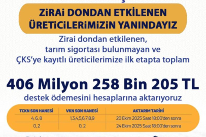 Zirai dondan etkilenen üreticilere 406 milyonluk destek