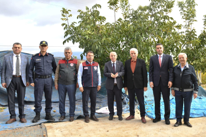 Cevizin Başkenti Denizli'de Ceviz Hasadı Başladı