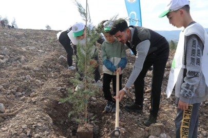 Denizli'de yanan alanlarda binlerce fidan toprakla buluştu