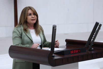 “Bu Bir faili malum Gasp Bütçesidir”