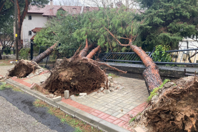 Denizli’de kuvvetli fırtına hayatı olumsuz etkiledi