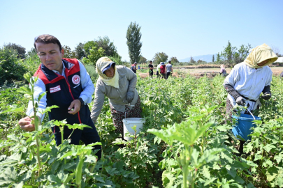 2025’te Bitkisel Üretime 1,15 Milyar TL Destek