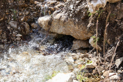 Çameli'nde yağışlar sonrası yer altı suları yüzeye çıktı