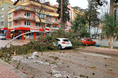 Tavas'ta fırtınada devrilen ağaç aracın üzerine düştü