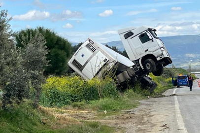 Bağa giren tır şaha kalktı