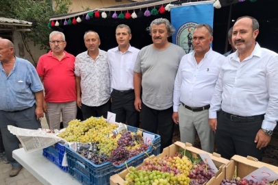 Avşar Üzümü coğrafi işaretle tescillendi