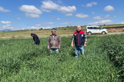 Tavas’ta Tarımda Örnek Çalışma